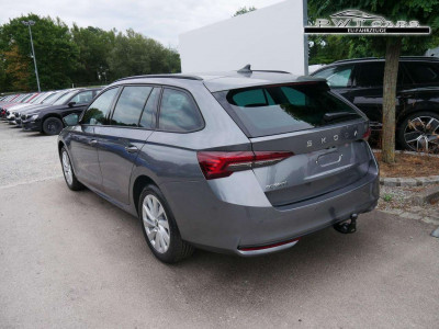 Skoda Octavia Tageszulassung Skoda Octavia Tageszulassung