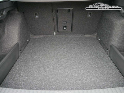 Skoda Octavia Tageszulassung Skoda Octavia Tageszulassung