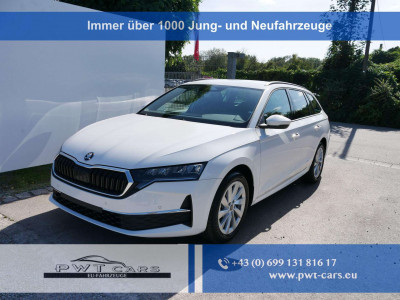 Skoda Octavia Tageszulassung Skoda Octavia Tageszulassung