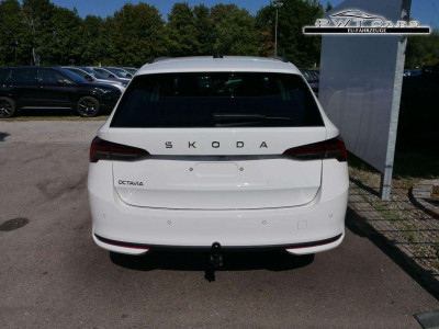 Skoda Octavia Tageszulassung Skoda Octavia Tageszulassung