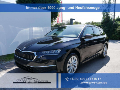Skoda Octavia Tageszulassung Skoda Octavia Tageszulassung