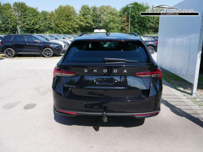 Skoda Octavia Tageszulassung Skoda Octavia Tageszulassung