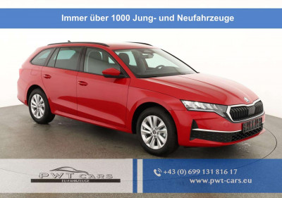 Skoda Octavia Tageszulassung Skoda Octavia Tageszulassung