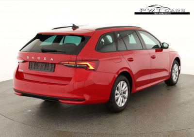 Skoda Octavia Tageszulassung Skoda Octavia Tageszulassung