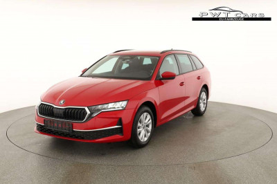 Skoda Octavia Tageszulassung Skoda Octavia Tageszulassung
