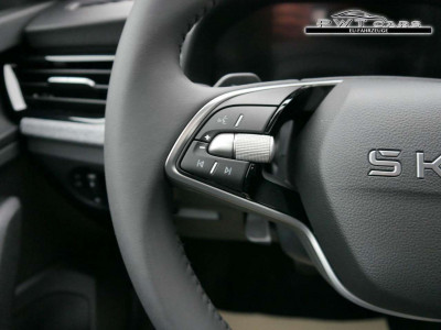 Skoda Scala Tageszulassung Skoda Scala Tageszulassung