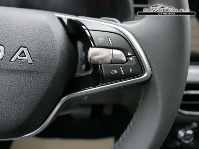 Skoda Scala Tageszulassung Skoda Scala Tageszulassung