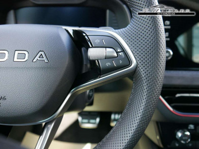 Skoda Kamiq Tageszulassung