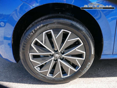 Skoda Kamiq Tageszulassung