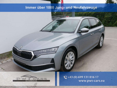 Skoda Octavia Tageszulassung Skoda Octavia Tageszulassung