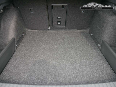 Skoda Octavia Tageszulassung Skoda Octavia Tageszulassung