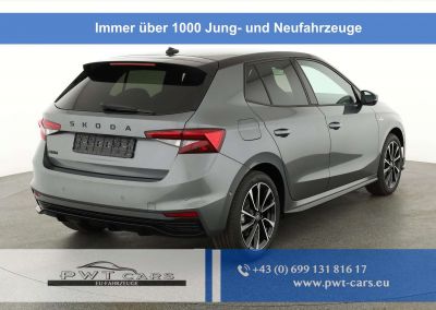 Skoda Fabia Tageszulassung Skoda Fabia Tageszulassung