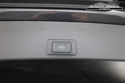 Cupra Terramar Tageszulassung Cupra Terramar Tageszulassung