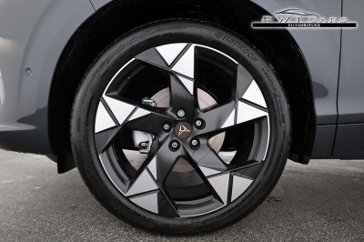 Cupra Terramar Tageszulassung Cupra Terramar Tageszulassung