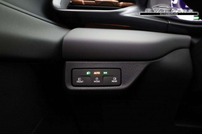 Cupra Terramar Tageszulassung Cupra Terramar Tageszulassung