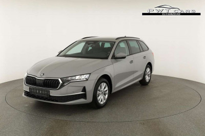Skoda Octavia Tageszulassung Skoda Octavia Tageszulassung