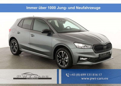 Skoda Fabia Tageszulassung Skoda Fabia Tageszulassung