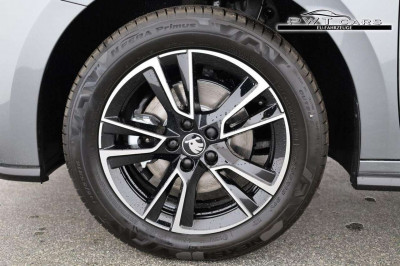 Skoda Fabia Tageszulassung Skoda Fabia Tageszulassung