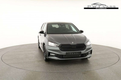 Skoda Fabia Tageszulassung Skoda Fabia Tageszulassung