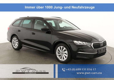 Skoda Octavia Tageszulassung Skoda Octavia Tageszulassung