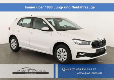 Skoda Fabia Tageszulassung Skoda Fabia Tageszulassung