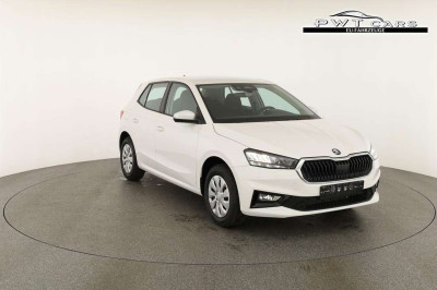 Skoda Fabia Tageszulassung Skoda Fabia Tageszulassung