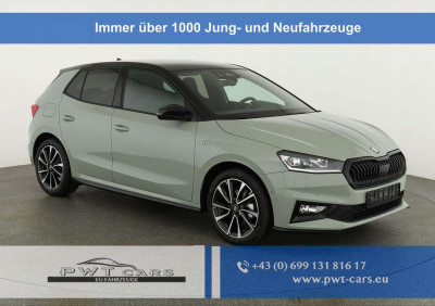 Skoda Fabia Tageszulassung Skoda Fabia Tageszulassung