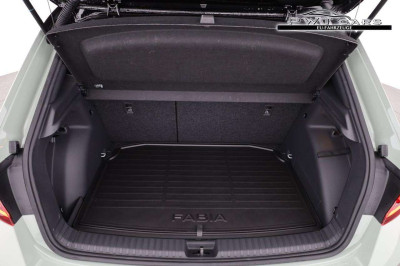 Skoda Fabia Tageszulassung Skoda Fabia Tageszulassung