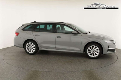 Skoda Octavia Tageszulassung