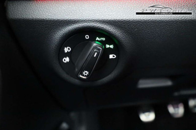 Skoda Kamiq Tageszulassung Skoda Kamiq Tageszulassung