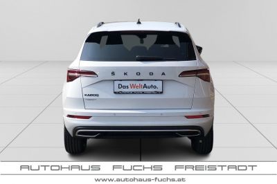 Skoda Karoq Gebrauchtwagen