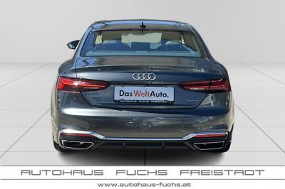 Audi A5 Gebrauchtwagen