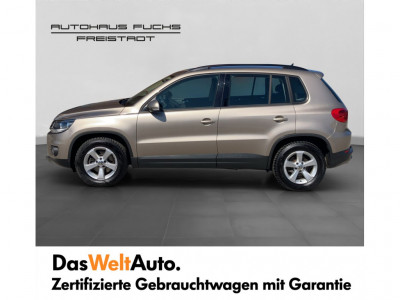 VW Tiguan Gebrauchtwagen