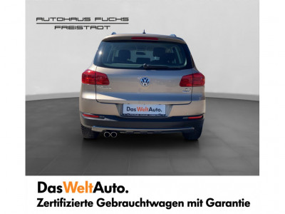 VW Tiguan Gebrauchtwagen