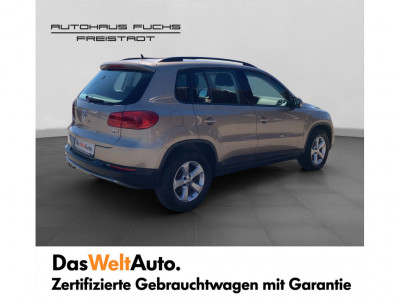 VW Tiguan Gebrauchtwagen