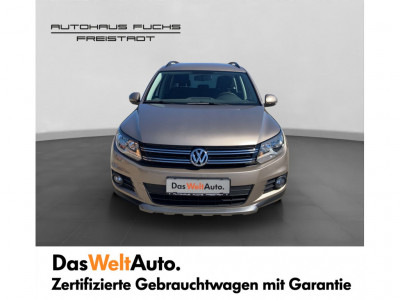 VW Tiguan Gebrauchtwagen