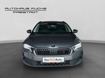 Skoda Octavia Gebrauchtwagen