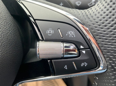 Skoda Enyaq Gebrauchtwagen Skoda Enyaq Gebrauchtwagen