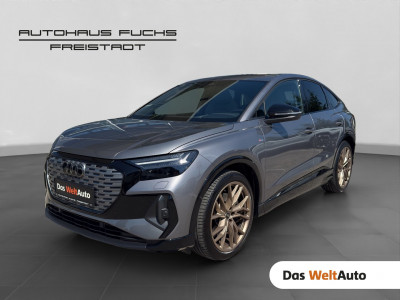 Audi Q4 e-tron Gebrauchtwagen