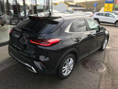 KIA XCeed Gebrauchtwagen