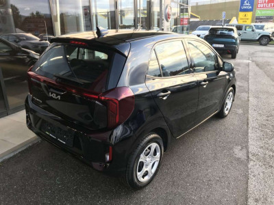 KIA Picanto Neuwagen