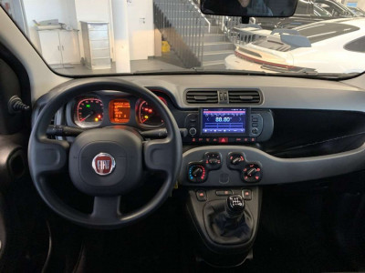 Fiat Panda Gebrauchtwagen