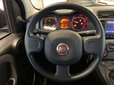 Fiat Panda Gebrauchtwagen