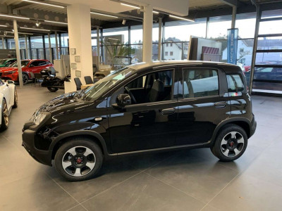 Fiat Panda Gebrauchtwagen