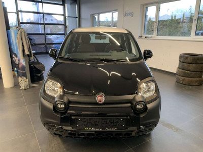 Fiat Panda Gebrauchtwagen