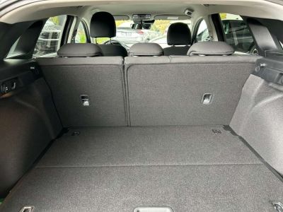 KIA Ceed Vorführwagen