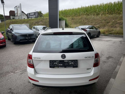 Skoda Octavia Gebrauchtwagen