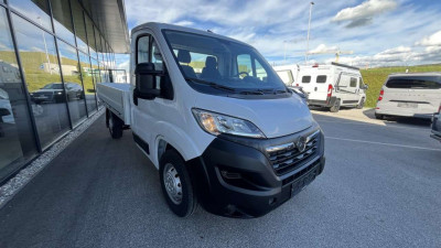 Opel Movano Vorführwagen