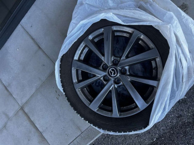 Mazda CX-30 Gebrauchtwagen