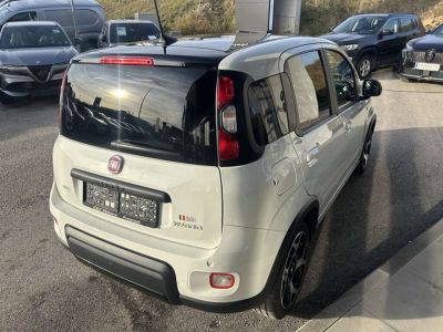 Fiat Panda Gebrauchtwagen